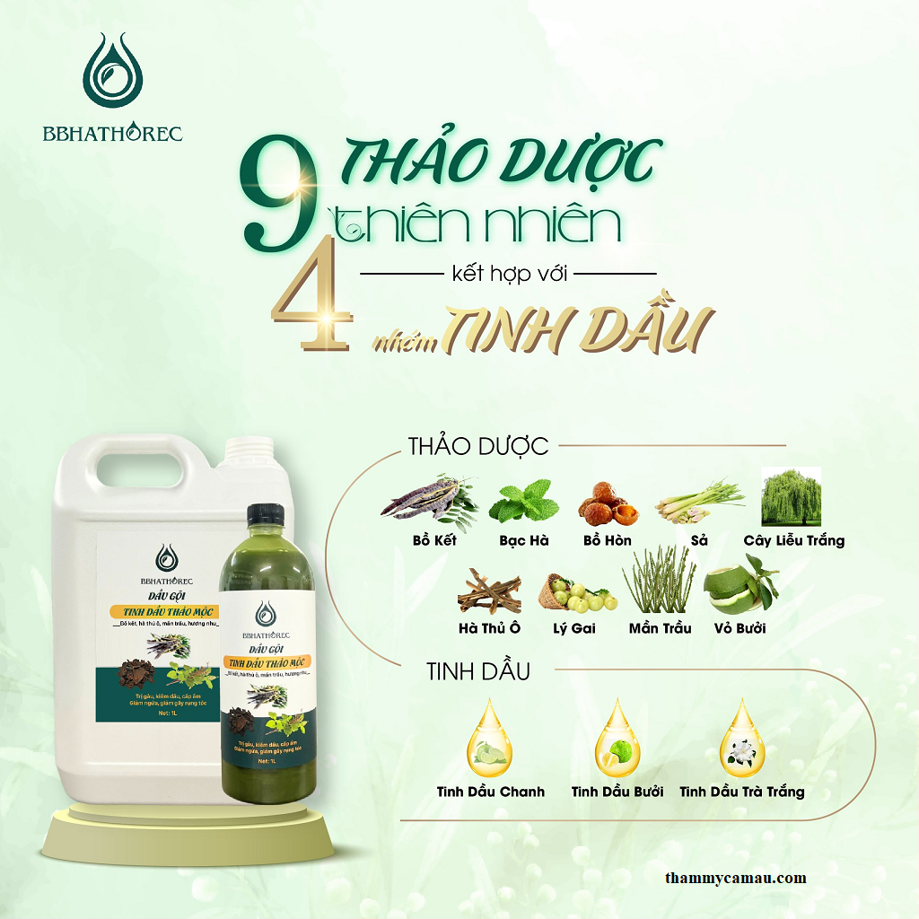 Bộ dầu gội tinh dầu thảo mộc BBHethorec